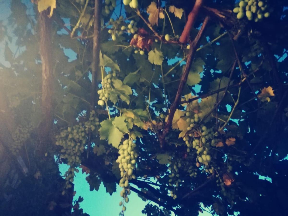 Casetta Nel Podere Di Massi บาร์เบริโน ดิ มูเจลโล ภายนอก รูปภาพ