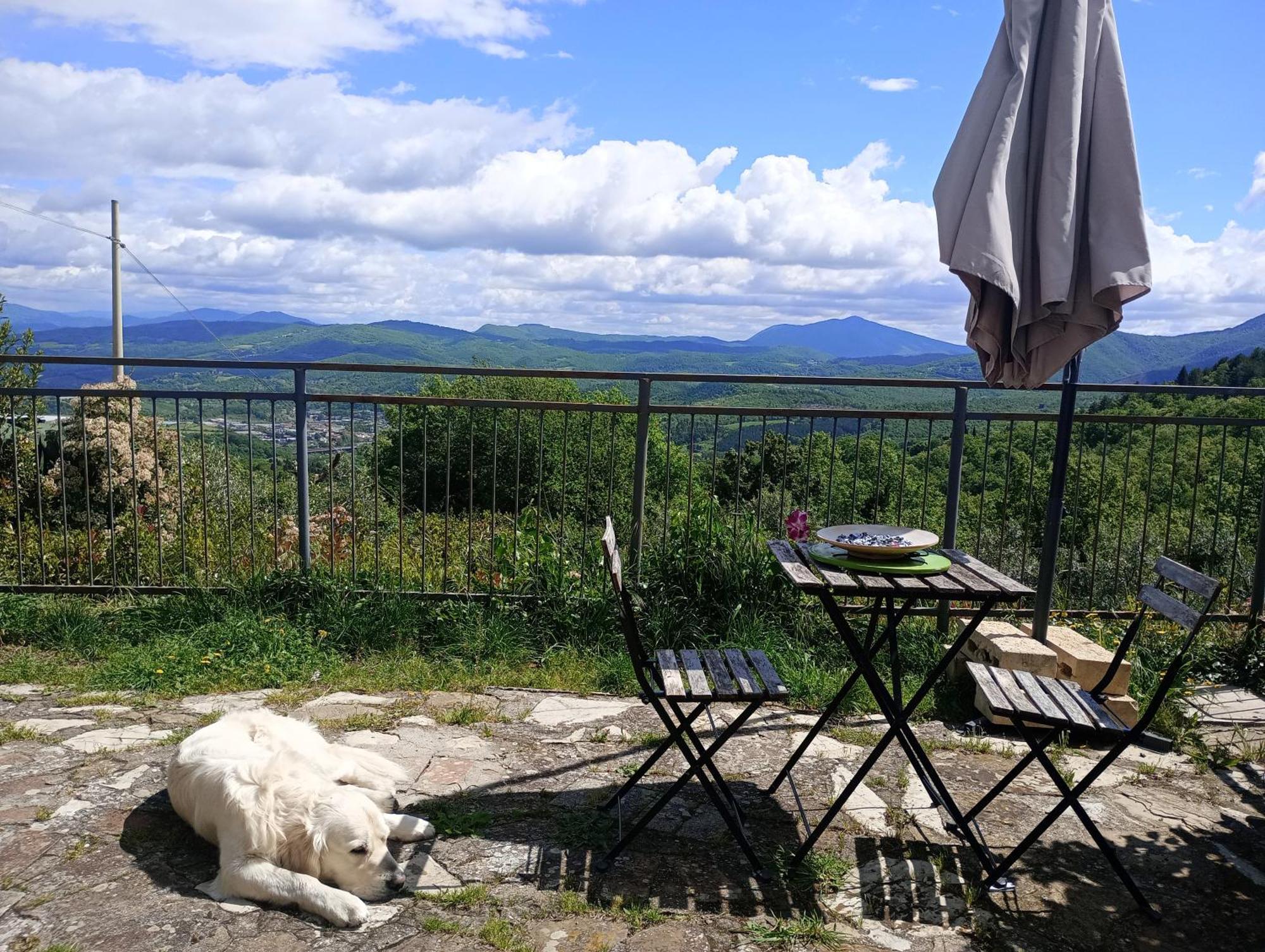 Casetta Nel Podere Di Massi บาร์เบริโน ดิ มูเจลโล ภายนอก รูปภาพ